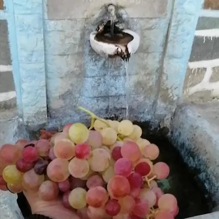 Дом отдыха Rou Garden House Voladha