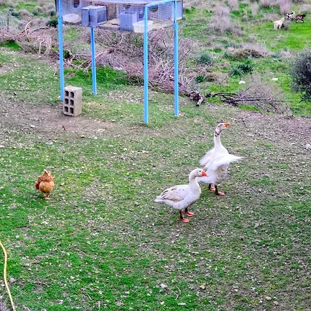 Rou Garden House * Voládha