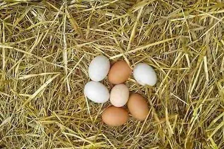 Rou Garden House Дом отдыха *