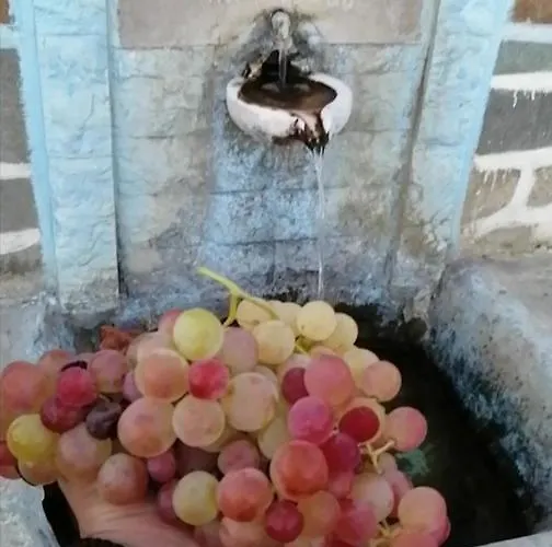 度假居 Rou Garden House Voládha