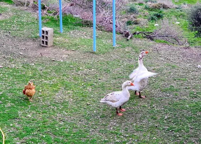 Rou Garden House * Voládha