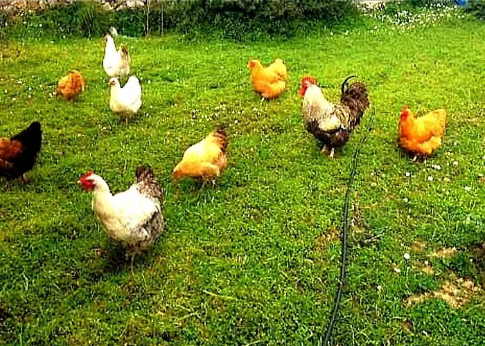 Rou Garden House * Voládha